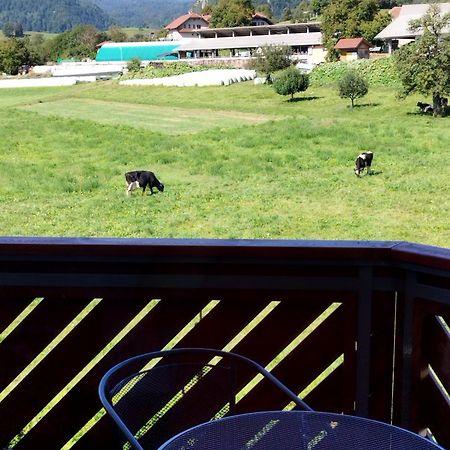 Apartma Julia Spodnje Gorje Extérieur photo