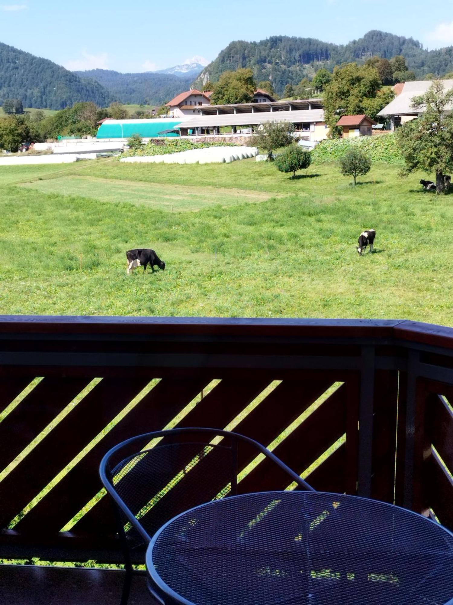 Apartma Julia Spodnje Gorje Extérieur photo